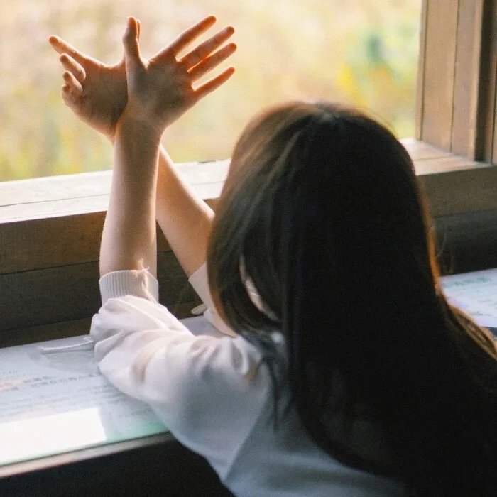 关于养猫我一直是新手